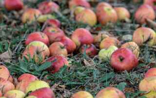 Gemeindebrief "unterwegs" Herbst 2023 Kirche Bargteheide